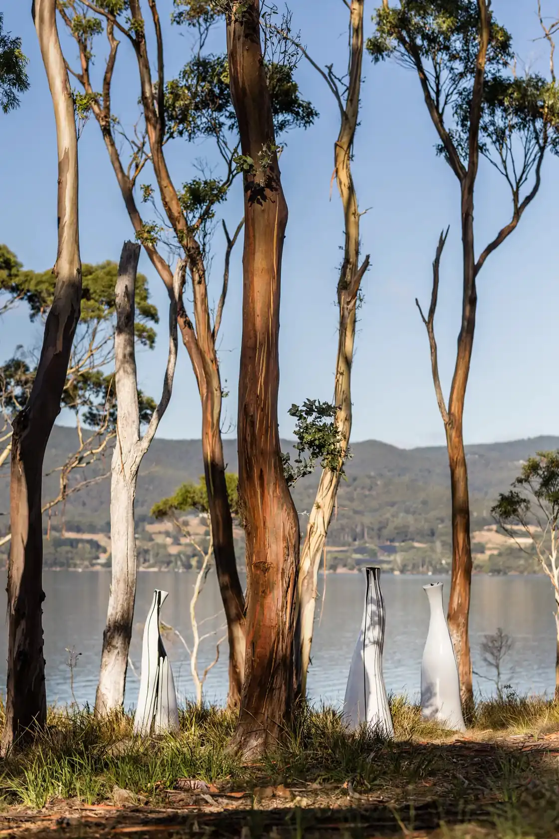 Lin Utzon's Cosmic Dancers sculptures among gum trees by the water