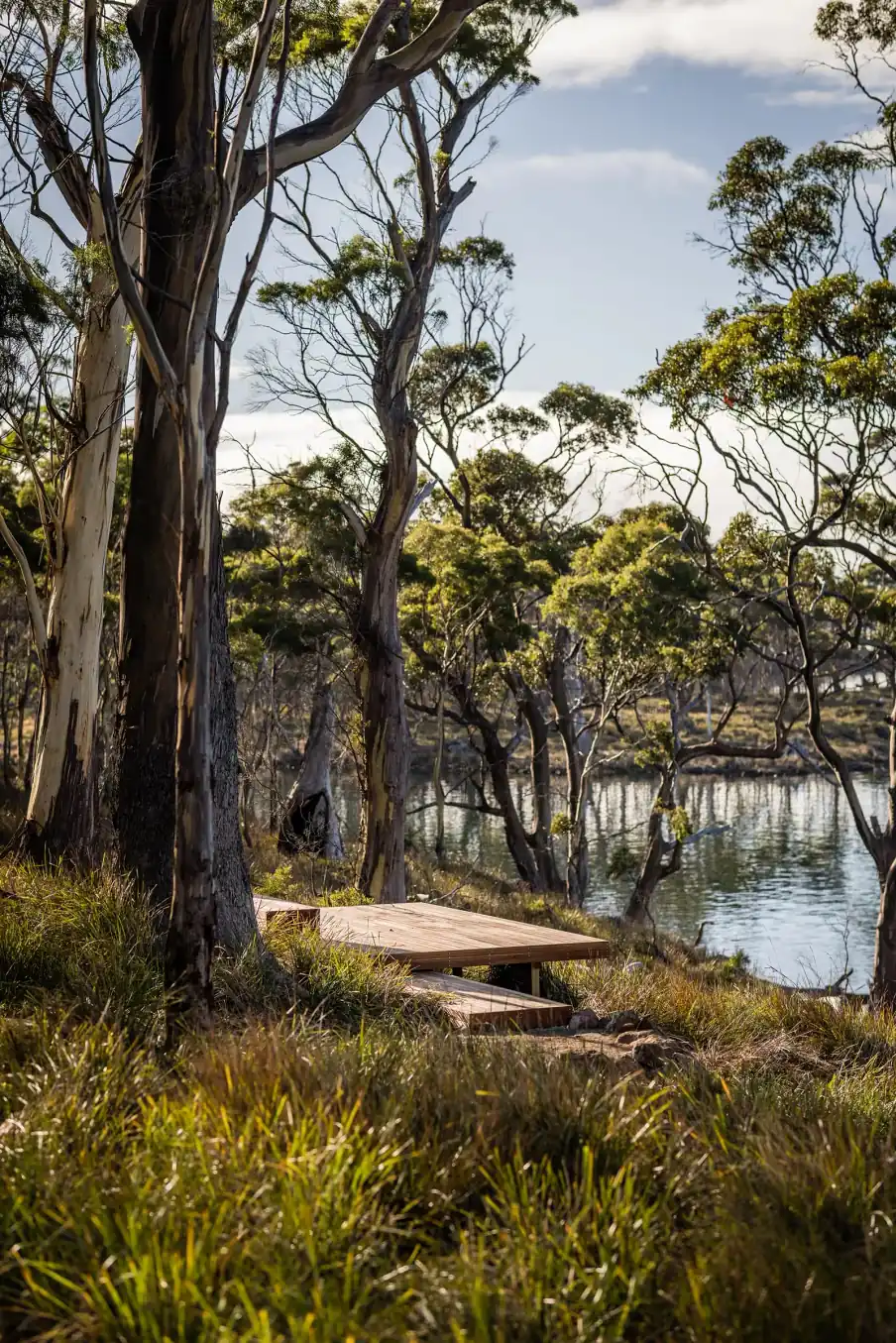 Picnic deck among gum trees beside the water